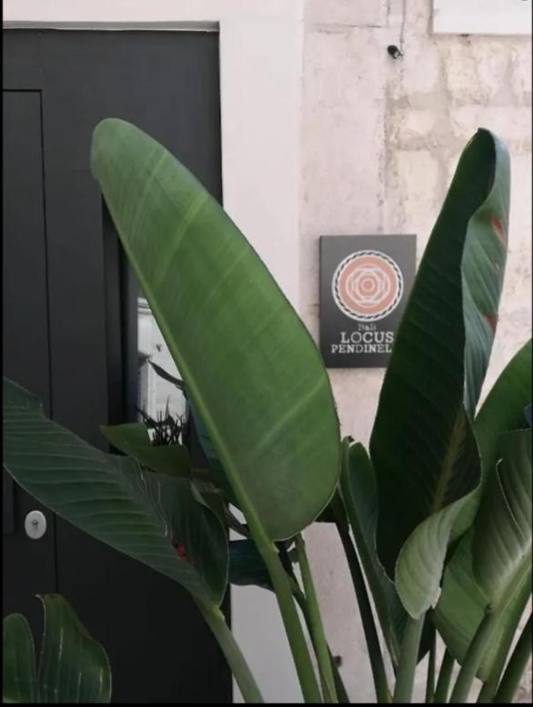 Locus Pendinelli Trani B&B 외부 사진